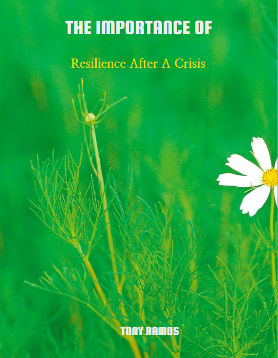 The Importance of Resilience After A Crisis eBook