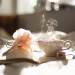 Aby Mamboleo Releases New Self-Help Book – The Key to Guilt-Free Success for Working Moms
